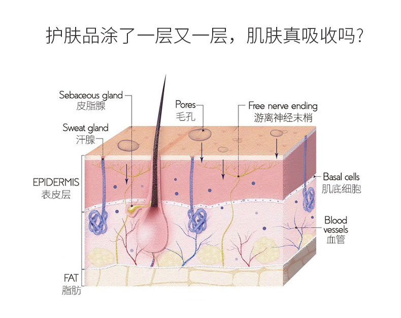 香娜露儿(Chantelle)羊胚胎素精华æ¶?0ml*5