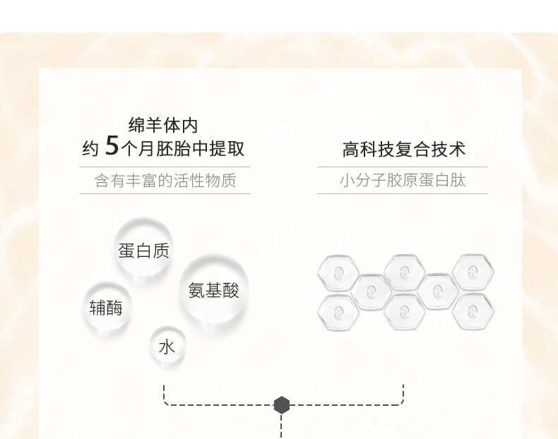 香娜露儿(Chantelle)羊胚胎素精华æ¶?0ml*5
