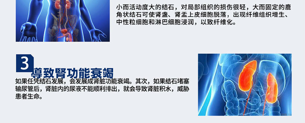 日本血‡€（YAMATOO）血凈¶ˆ石素60ç2?ç“?