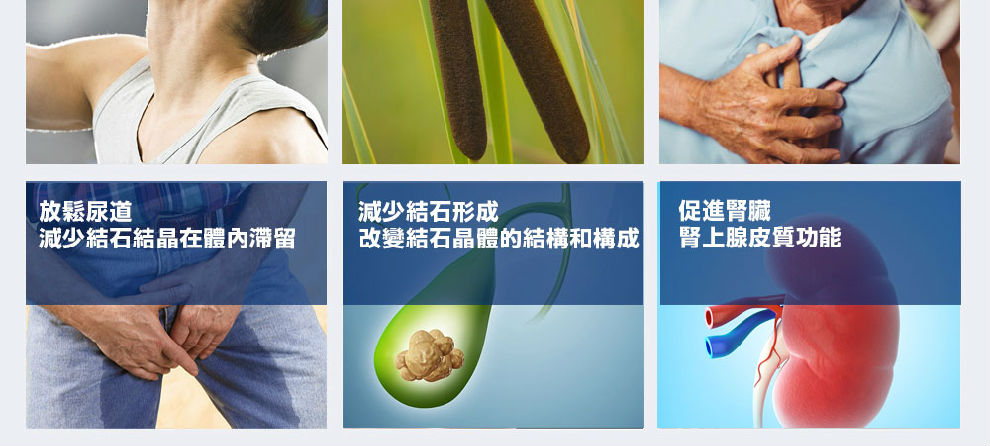 日本血‡€（YAMATOO）血凈¶ˆ石素60ç2?ç“?
