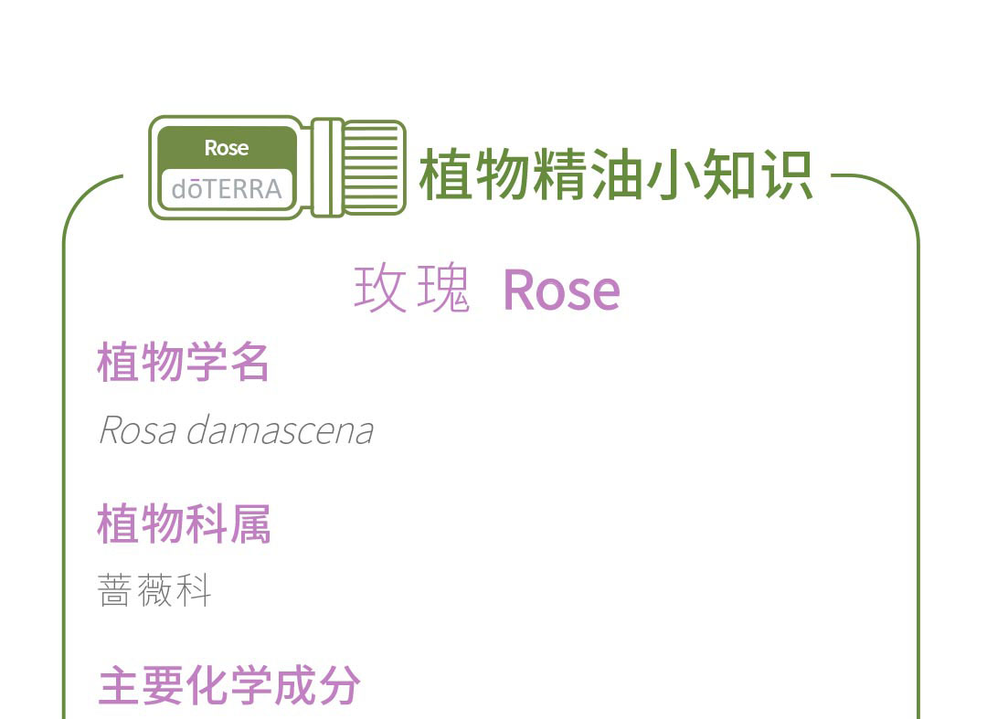 多特ç‘?Doterra)玫瑰香薰精油5ml