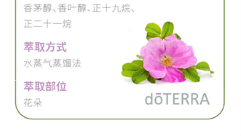 多特ç‘?Doterra)玫瑰香薰精油5ml