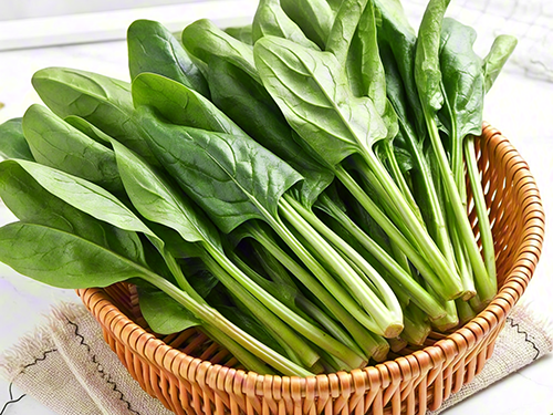 含铁量最高的食物 缺铁性贫血必吃10种食物