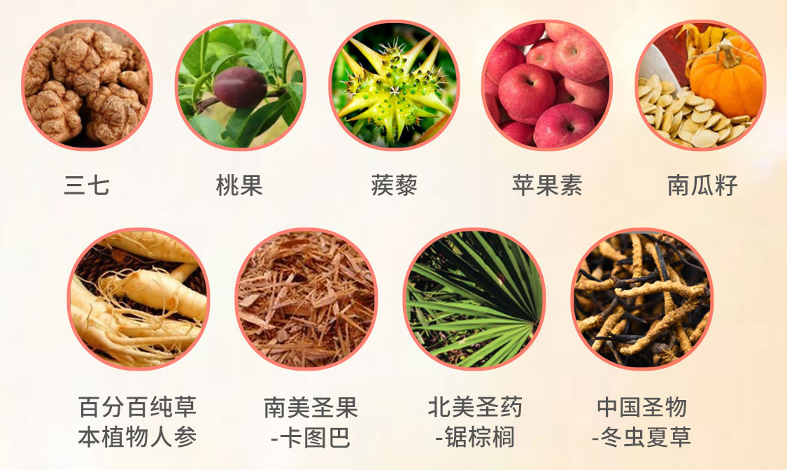 KDB/2021-03-15-新品牌-康朵芭--S2版-移动_06.jpg