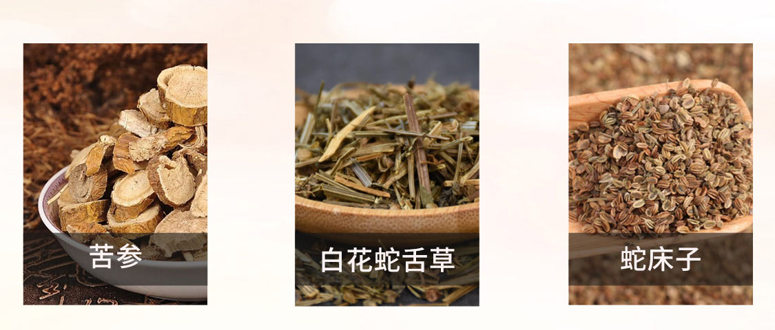 PATENT/派特-移动_10.jpg