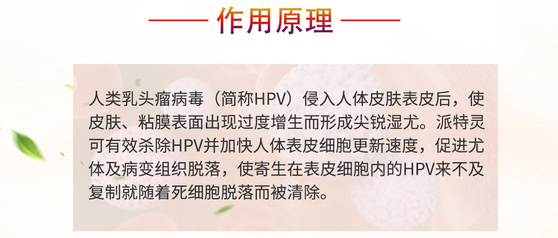 PATENT/派特-移动_14.jpg