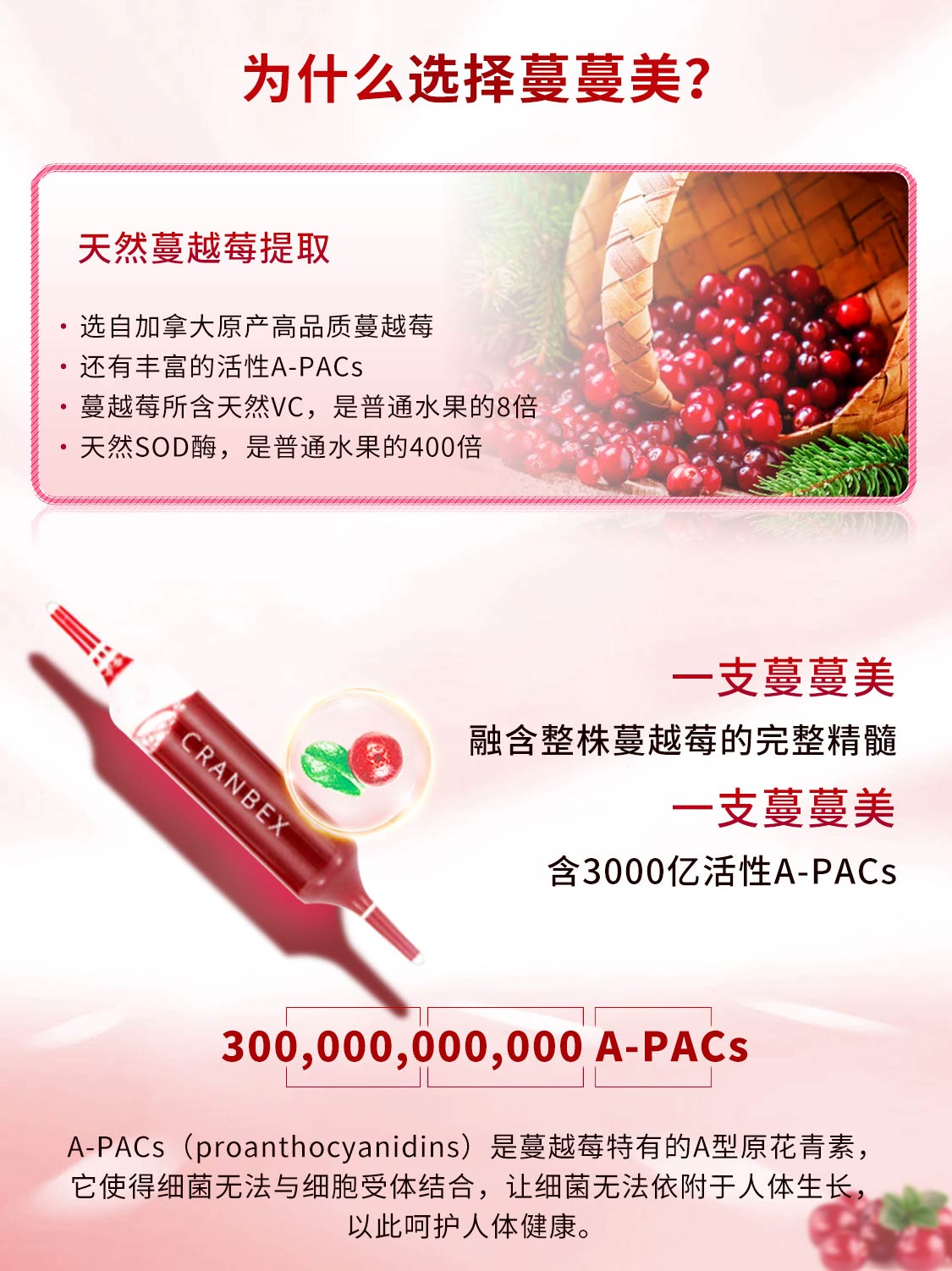 cranbex/蔓蔓美-移动_03.jpg