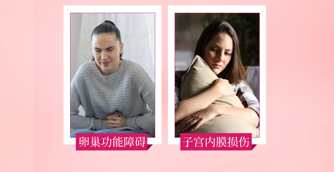 estramon/德国诺华YD_04.jpg