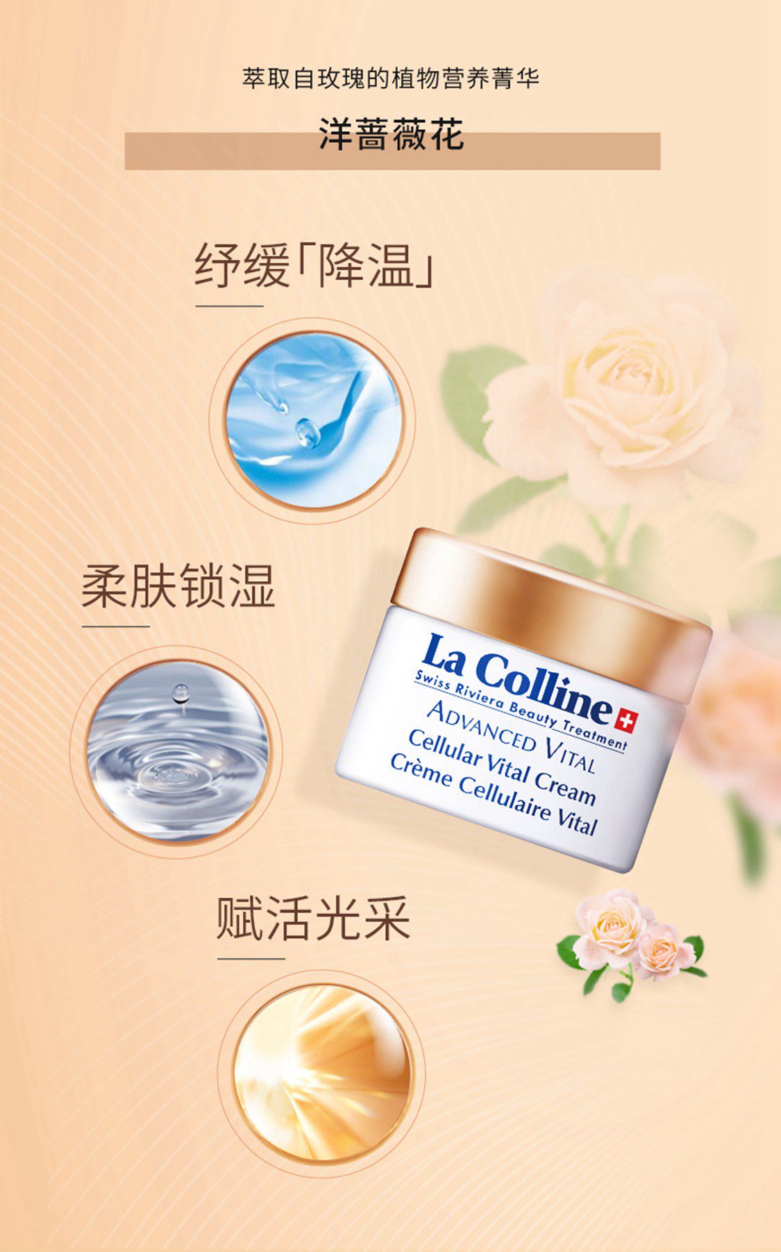 la_colline/2、.jpg