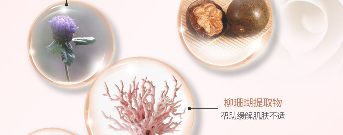 marykay/玫琳凯S2版-无线_08.jpg