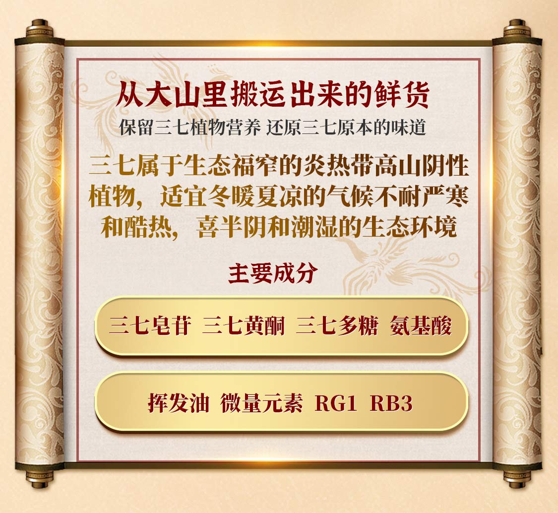 qidanyaoye/七丹药业-YD_03.jpg