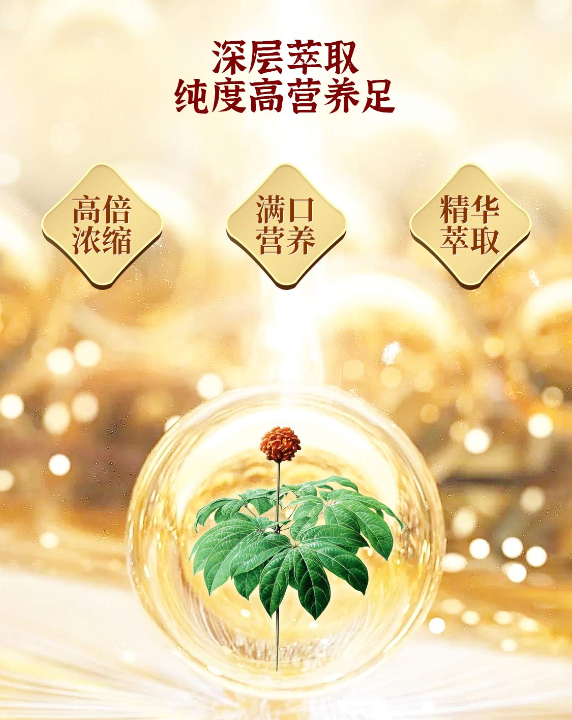 qidanyaoye/七丹药业-YD_08.jpg