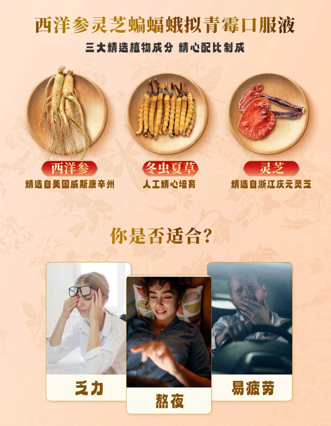 shenlingcao/参灵草yd_03.jpg