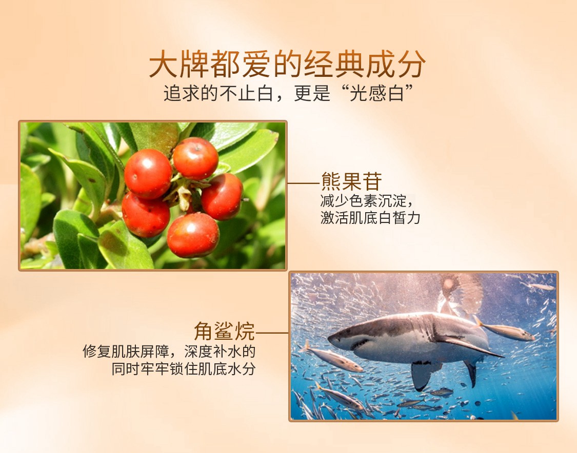 st_ellece/圣雅莉思YD_03.jpg