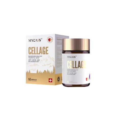 瑞士MYCASS（MYCASS）膠原蛋白肽干細(xì)胞重組膠囊 60粒/瓶
