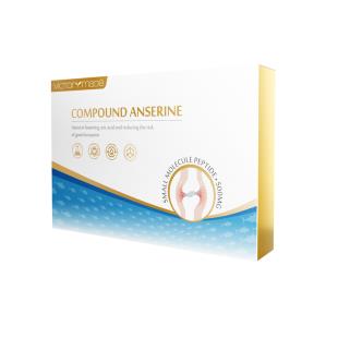 維萃美(Victorymade)復合鵝肌肽 5g*24pcs/盒 （全新升級款）