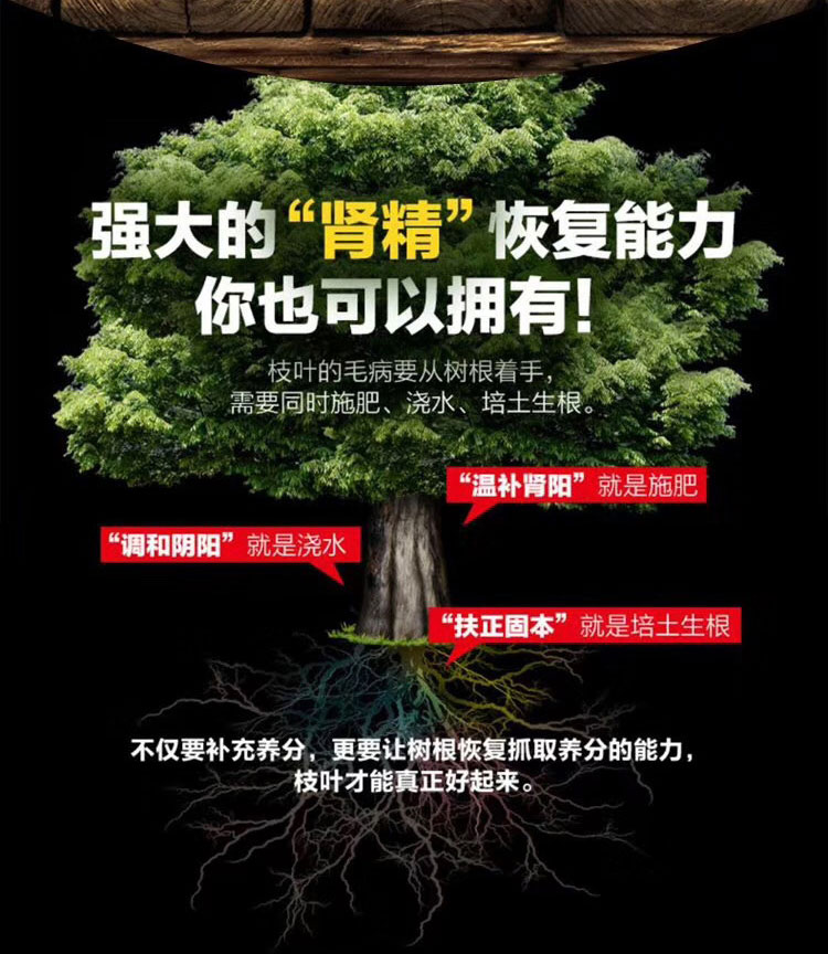 绿之éŸ?Resgreen)鹿鞭玛咖压片糖果 12ç‰?ç›?2ç›?