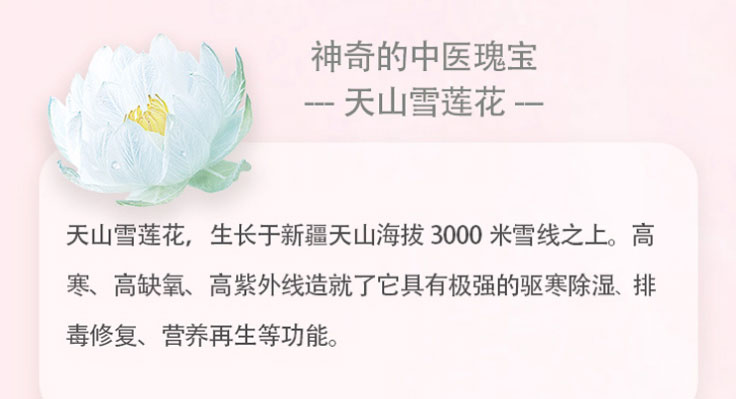 金天国际(Golden_days)雪莲养护福贴要垫-24ç‰?