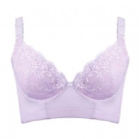 安提尼亚(ANTINIYA)法兰西情人 聚拢调整型文胸 淡紫色90C