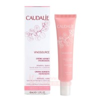 欧缇丽(Caudalie)葡萄源莹润保湿水凝霜 冰淇淋面霜40ml