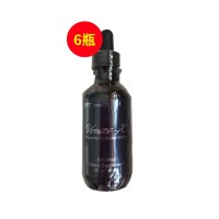 美国EFT(EFT)#2003胶银59ml/瓶 6瓶装