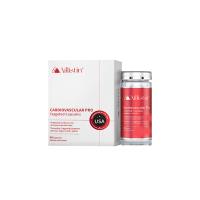 美國(guó)AILLISTIN（AILLISTIN）艾血凈心血管靶向膠囊 60粒/瓶