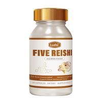 露缔斯（Ludsi）灵芝宝孢子粉益白宝60粒