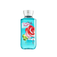 美國BBW(Bath_Body_Works)香氛沐浴露(帶我飛)【美國原裝進口】295ml