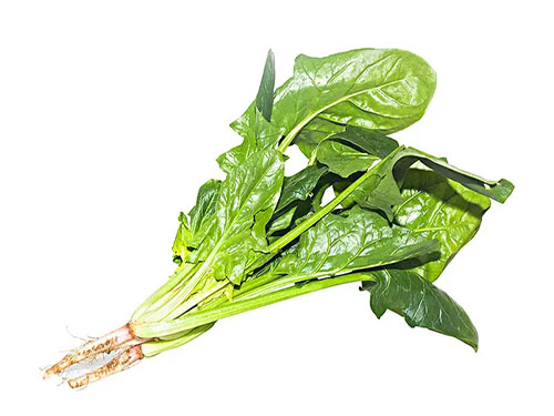 十大碱性食物排名 碱性食物有哪些