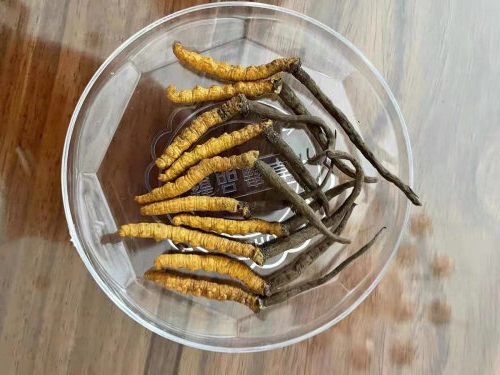 六个具有补肾功效的食物 最补肾的水果之王
