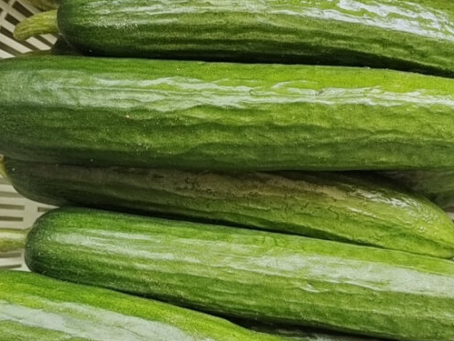 刮油最狠的四种减肥蔬菜水果，西红柿/黄瓜/木瓜/菠菜