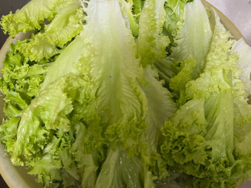 叶菜放冰箱24小时会致癌吗 放冰箱致癌的三种食物