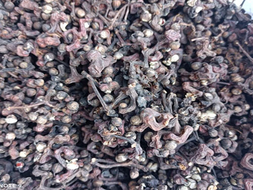 马齿苋治皮肤病怎样用最好