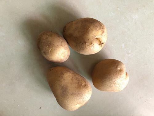 哪些食物发芽了不能吃 这五种发芽的食物一定要避开