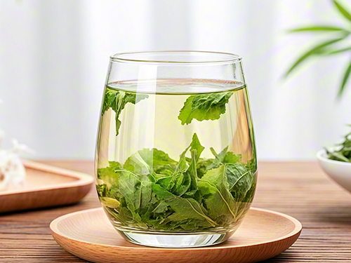 桑葉茶哪些人不能喝 桑葉茶禁忌人群