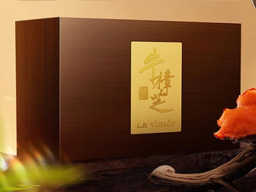 探秘溫莎之謎：牛樟芝的養(yǎng)生哲學(xué)