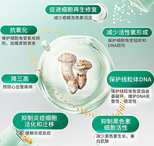 麥角硫因如何改善睡眠、延緩衰老？權(quán)威科普解讀LOFO樂活配方