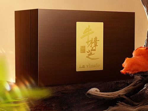 温莎牛樟芝：每天一粒，元气满格