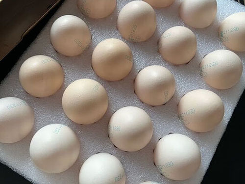 养发最好的十种食物 养发最好的十种食物是什么