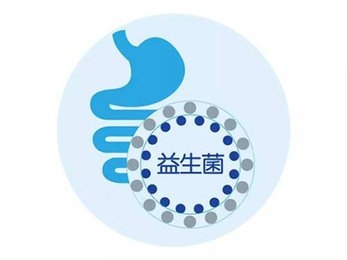 益生菌哪个牌子好