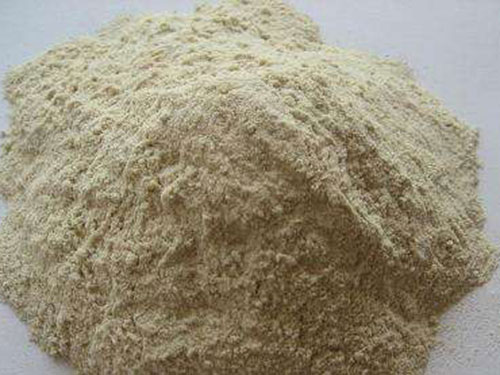 使用蛋白粉有什么功效？