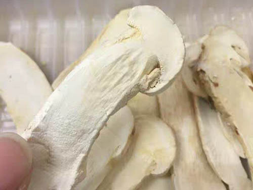 松茸的功效和吃法大全