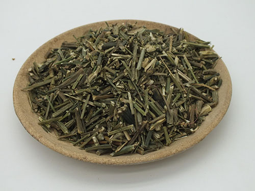 穿心莲的功效