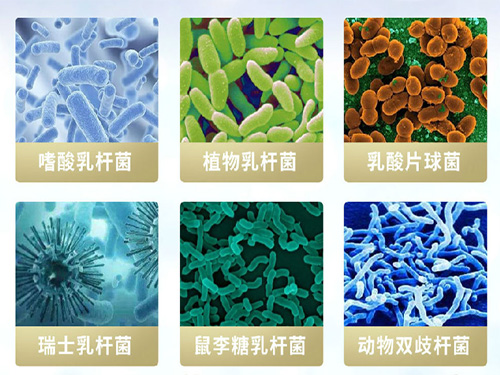涨知识啦！维萃美蔬果轻畅酵素，把健康吃出来
