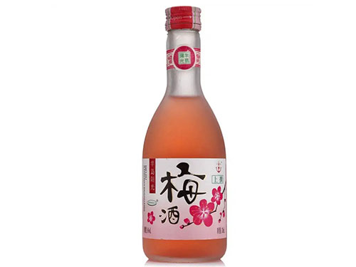 六種最適合釀酒的水果