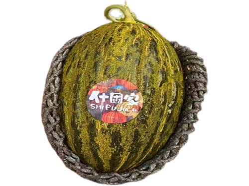 斗牛小瓜是什么瓜 斗牛小瓜怎么挑