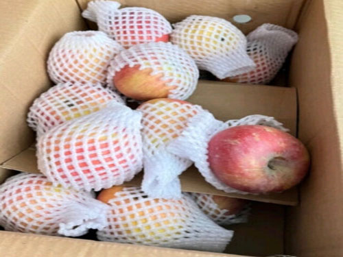 湿气最怕三种水果 分享湿气重的人吃什么食物最好