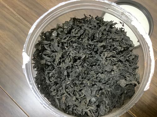 地皮菜是什么菜 地皮菜有什么营养价值