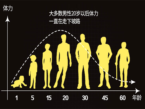 圣世御品特级海狗丸补肾壮阳，为男人保精固肾！