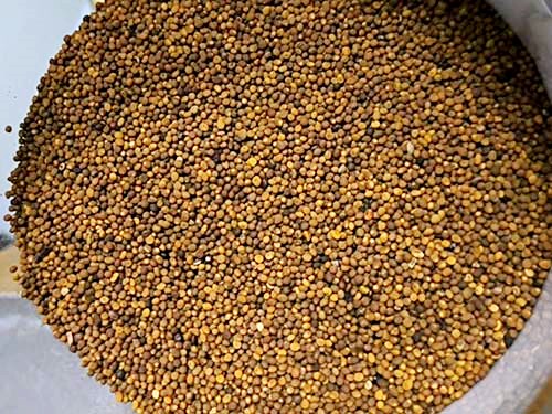 菟丝子的作用和功效 菟丝子和什么搭配最壮阳